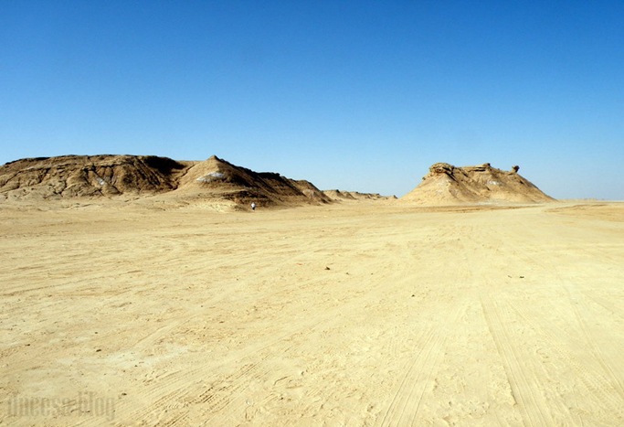PA055481 PA055481