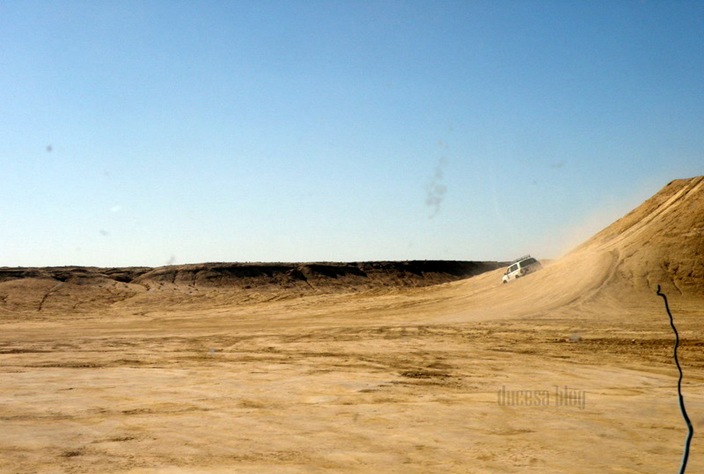 PA055501 PA055501