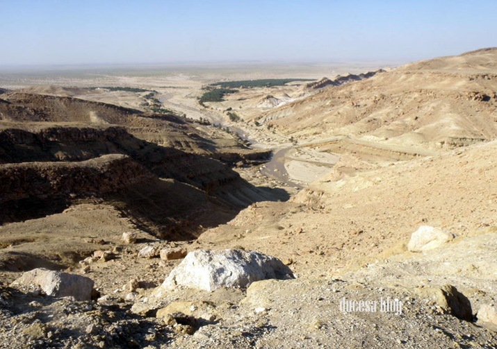 PA055464 PA055464