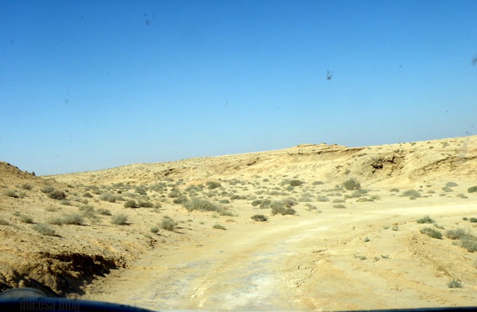 PA055479 PA055479