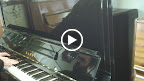 KAWAI BS-2A Modern