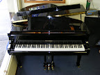 Waldstein Grand