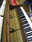 Richard Lipp upright