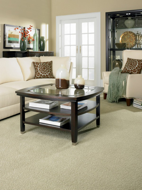 modern comfortable flooring with large carpet