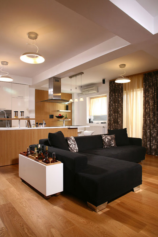 luxury interior apartment remodeling design pictures