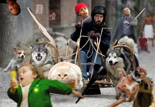 [tumblr_l88pklnlS51qzpwi0o1_500[4].jpg]