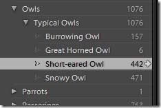 SpeciesKeyword