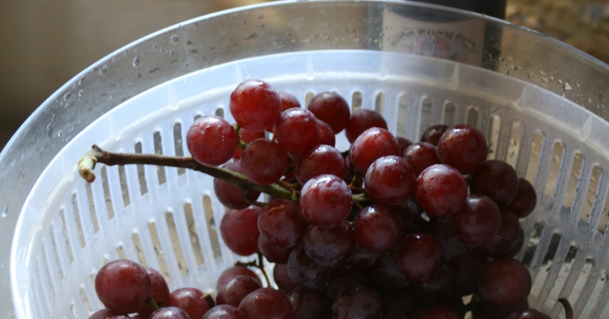 Preserving Food Frozen Grapes Collecting the Moments