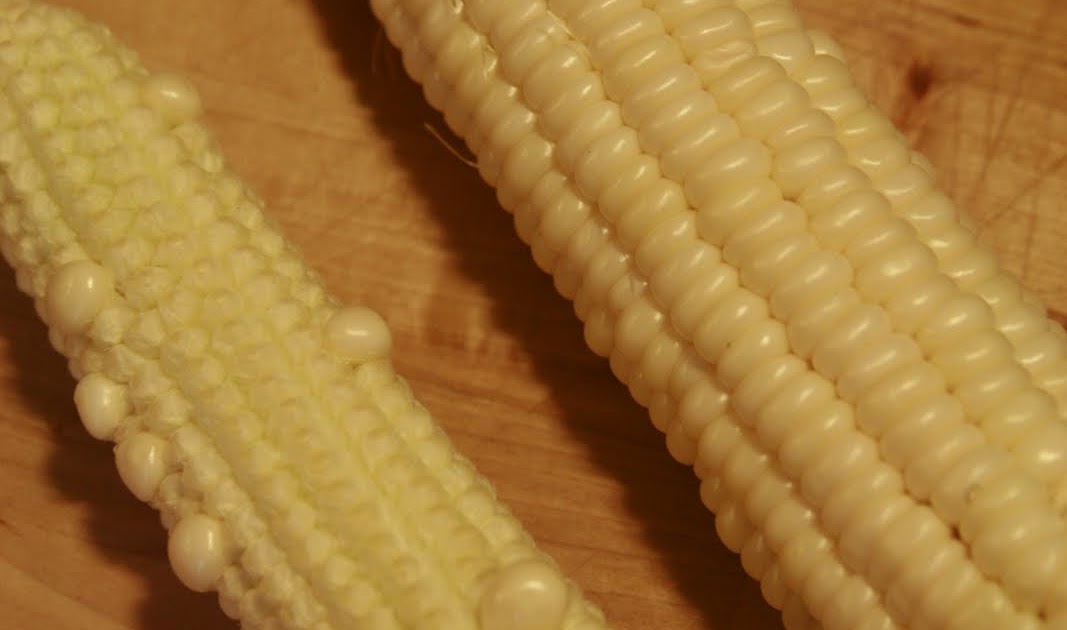 Homeschooling in the Rose Garden Grains of the World Corn