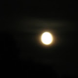 IMG_2699.jpg
