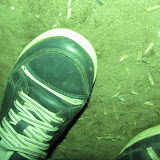 IMG_2624.jpg