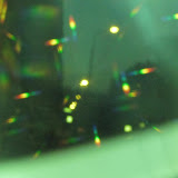 IMG_2564.jpg