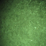 IMG_2600.jpg