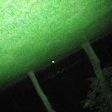 IMG_2606.jpg