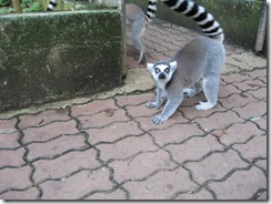 IMG_0138 IMG_0138