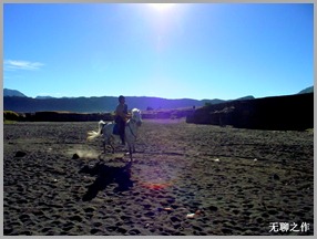 DSCF2337 DSCF2337