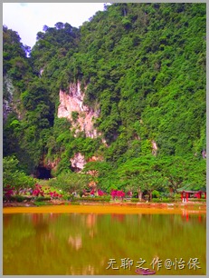 DSCF4966 DSCF4966