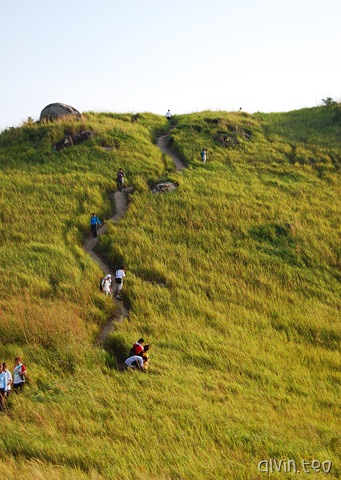 [DSC_0029[10].jpg]
