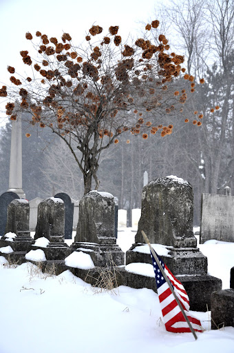 gravestones with flag and tree