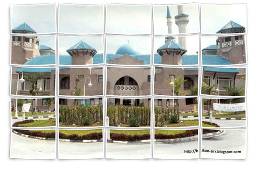 iium b