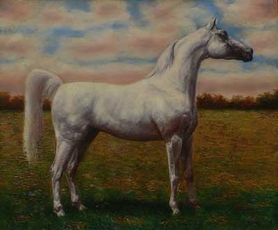 [Tapia_154176Arabian20x242.jpg]