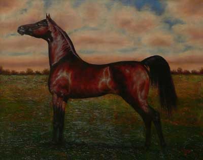 [Tapia_152955HamadArabian24x302.jpg]