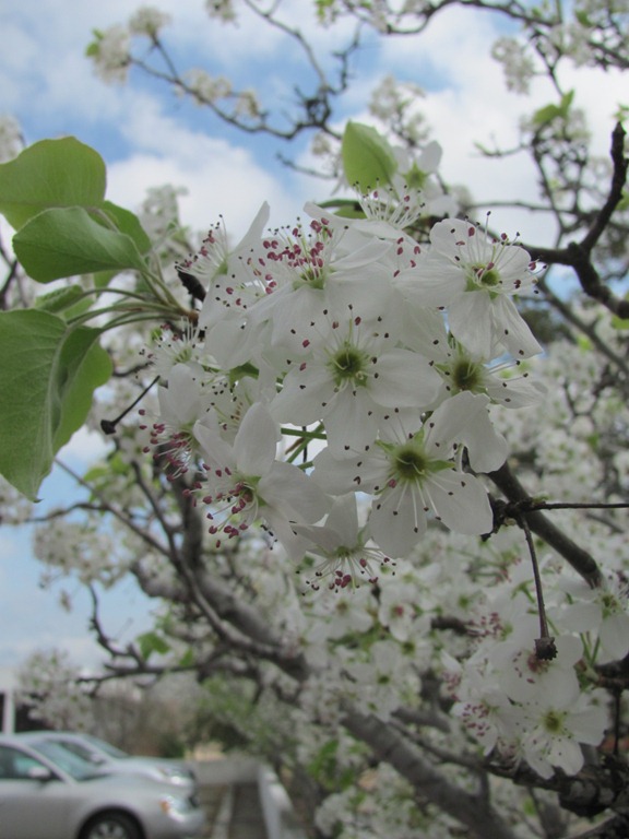 [IMG_17813.jpg]