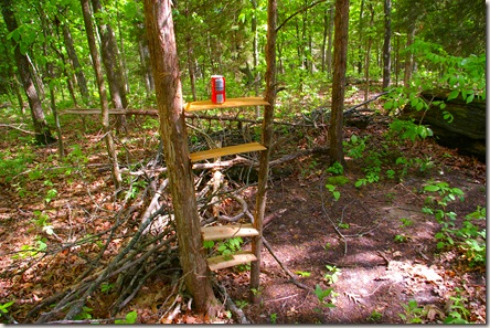 rickety shelves built between two scrawny trees