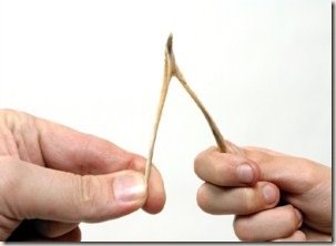 wishbone