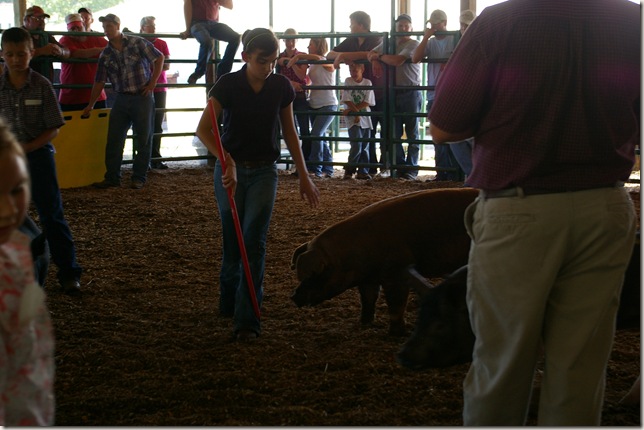 Emily walking her pig