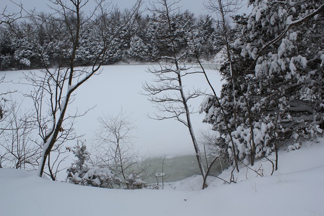 [jan 11 snow 045[3].jpg]