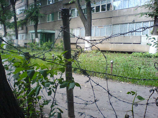 Gardening.