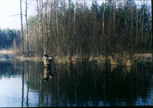 Swamp