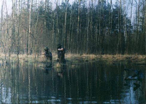 Swamp