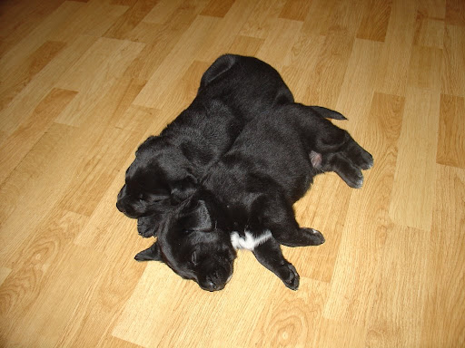 Sleeping