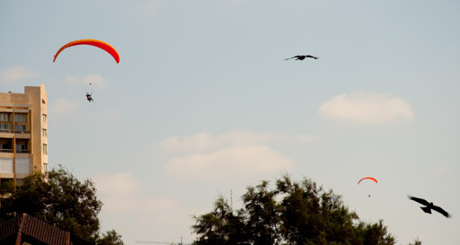 DSC_0195.jpg