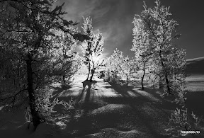 Månedens bilde, mars 2011. Orginalbildet "Winter", av Jo Bjørnar Hausnes: http://www.expono.com/hausnes/photos/816375/ Månedens bilde, mars 2011. Orginalbildet "Winter", av Jo Bjørnar Hausnes: http://www.expono.com/hausnes/photos/816375/