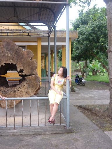 Hình ảnh