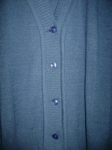 [Alexa azul 1[6].jpg]