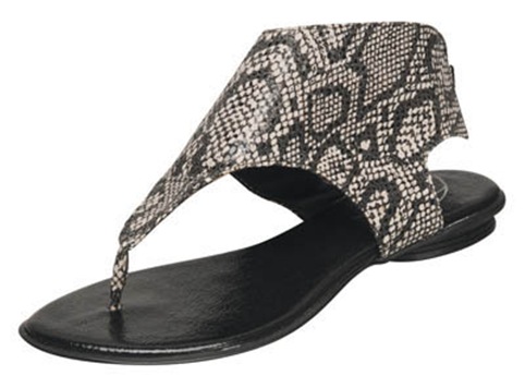 Aloha reptil