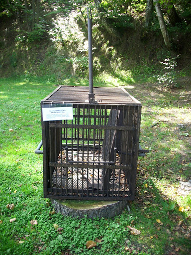 Klatka zabiegowa - wystawa maszyn rolniczych w oliwskim zoo