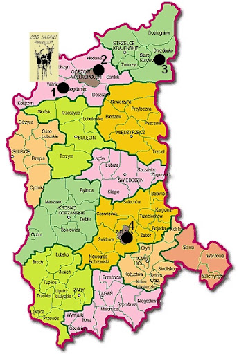 Obecnie jedyną placówką zoologiczną w Zielopnej Górze jest palmiarnia