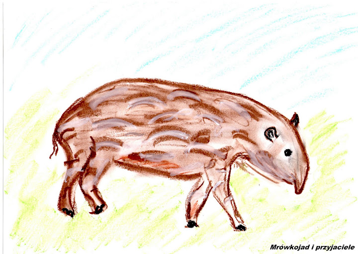 Mały tapir anta
