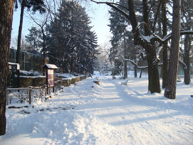 Okolice pawilonu krokodyli