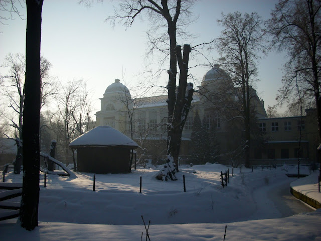 Herpetarium i zaśnieżona wyspa lemurów