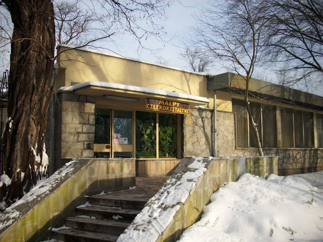 Pawilon małp człekokształtnych