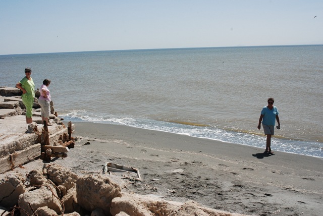 [DSC_02162.jpg]