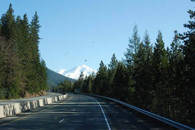 [DSC_0253[2].jpg]