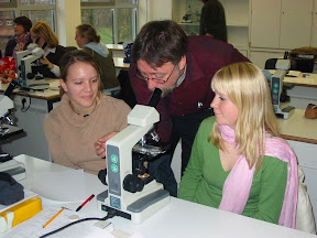 nat-working_2005.jpg