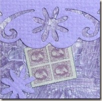 CIMG6209 CIMG6209